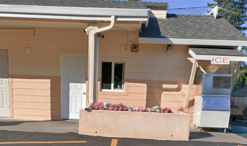 Shasta Pines Motel & Suites Burney Zewnętrze zdjęcie