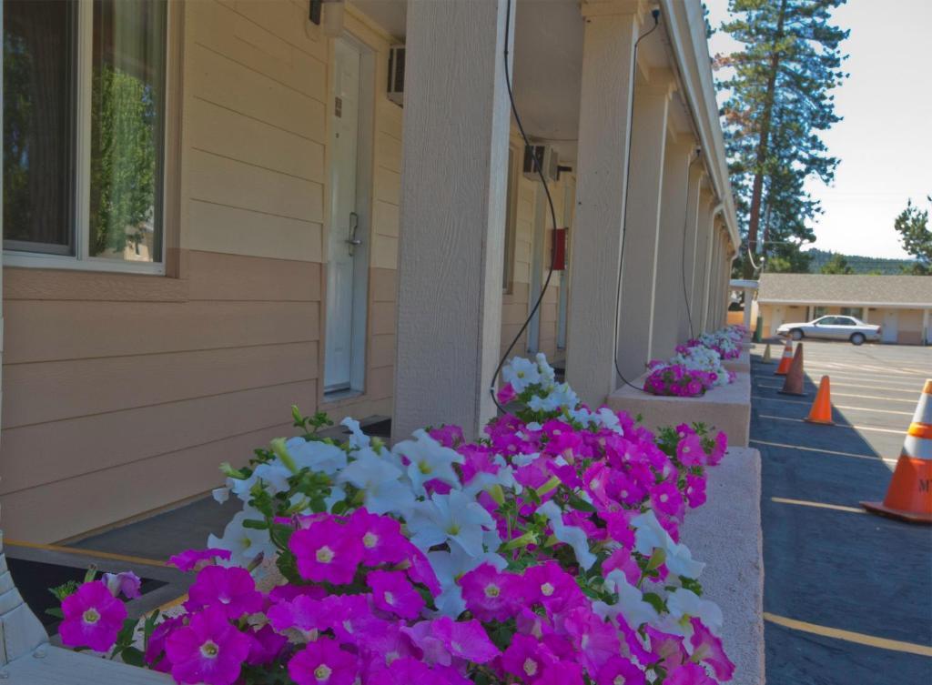 Shasta Pines Motel & Suites Burney Zewnętrze zdjęcie