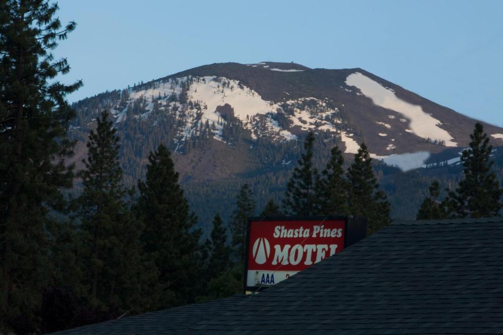 Shasta Pines Motel & Suites Burney Zewnętrze zdjęcie