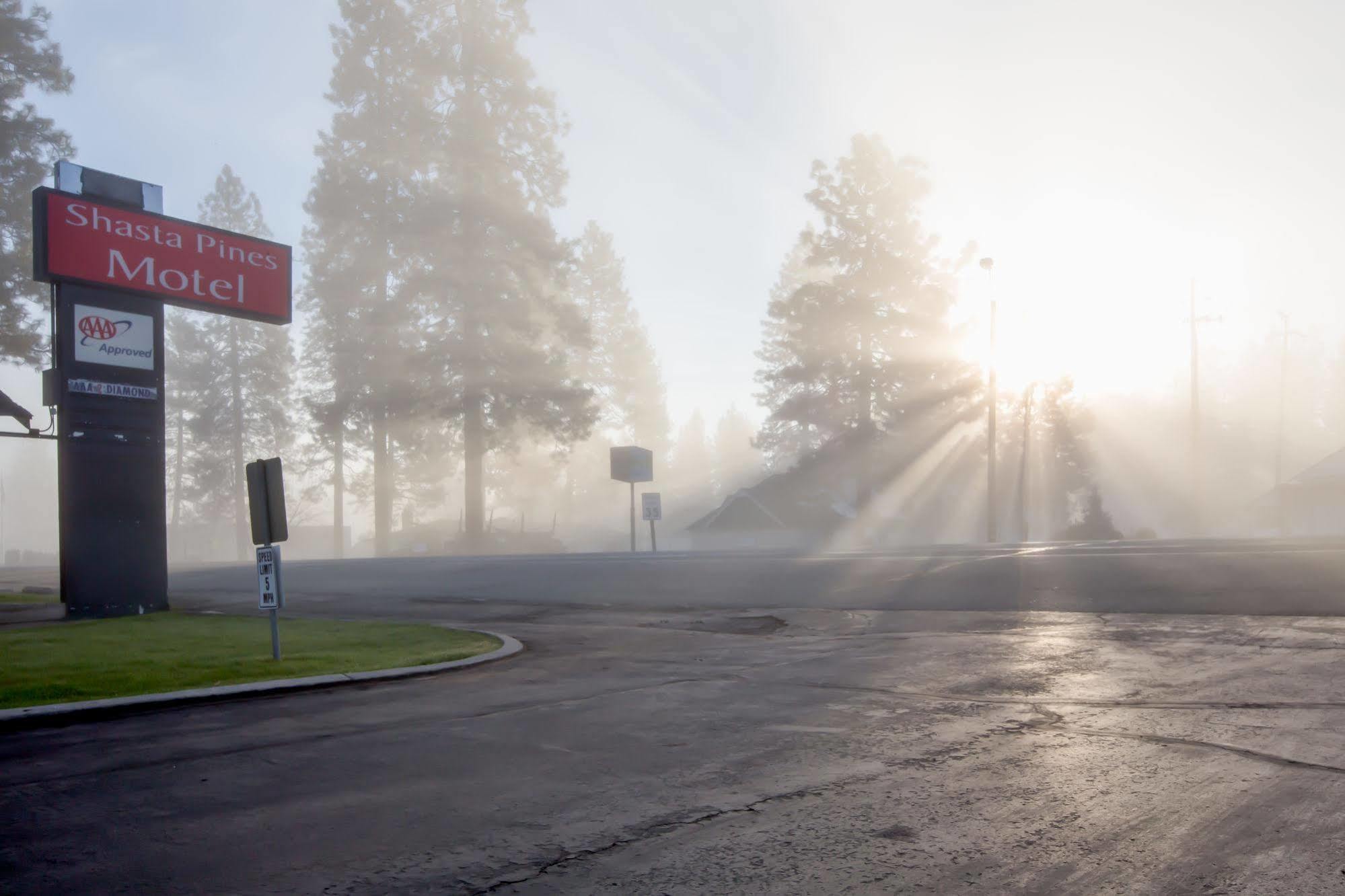 Shasta Pines Motel & Suites Burney Zewnętrze zdjęcie